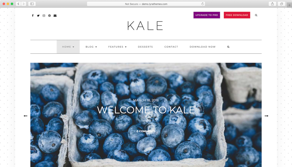 Пример Сайта С WordPress Темой Kale