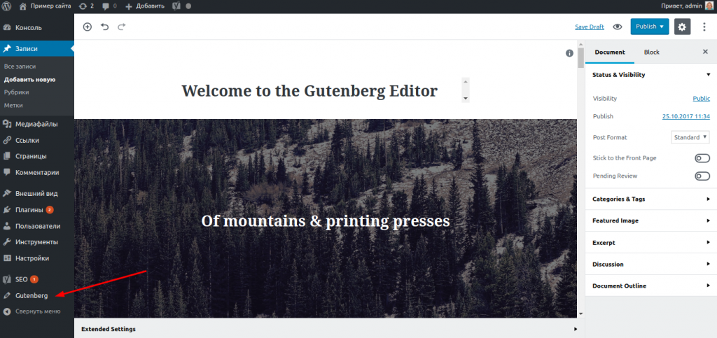 Демо запись редактора Gutenberg