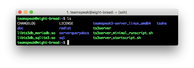 Содержимое каталога teamspeak3 server