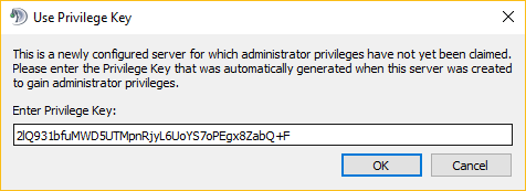Ввод ключа привилегий TS3 в Windows